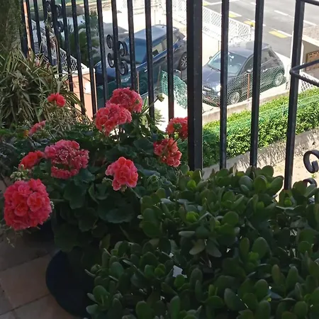Apartment Vicino Al Mare *